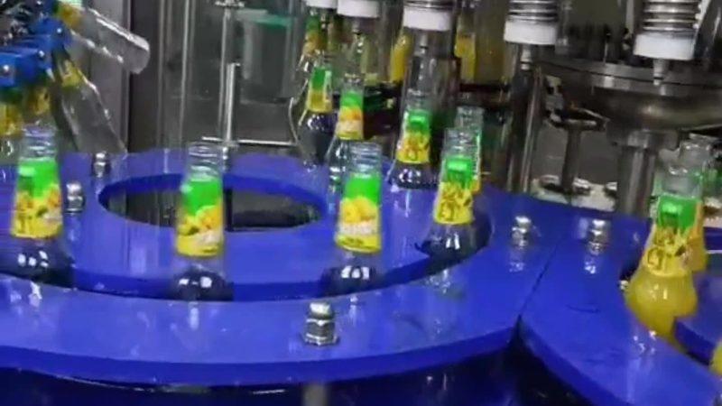 上海冻干机维修保养：关键环节与注意事项
